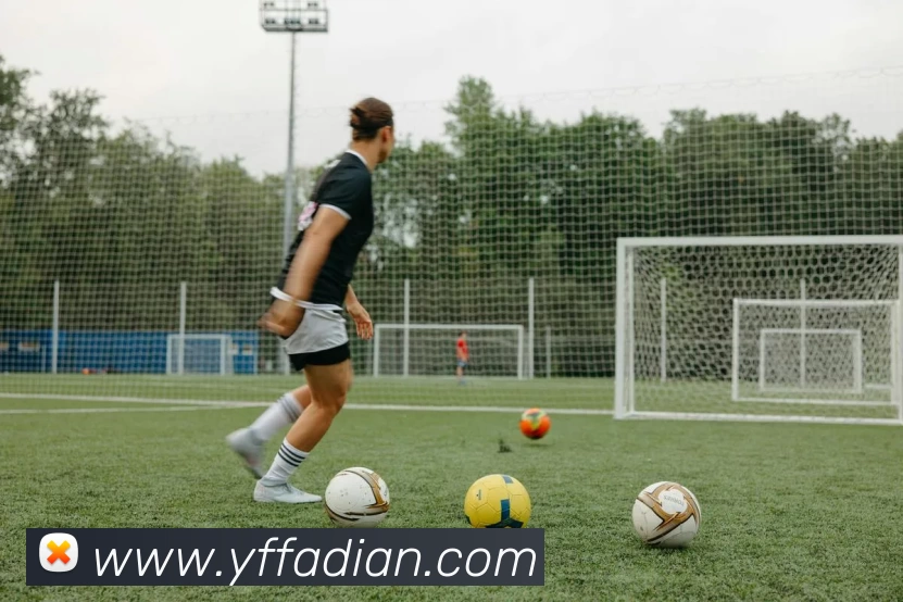 多媒体互动体验